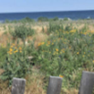 Meet your Posher, Ali